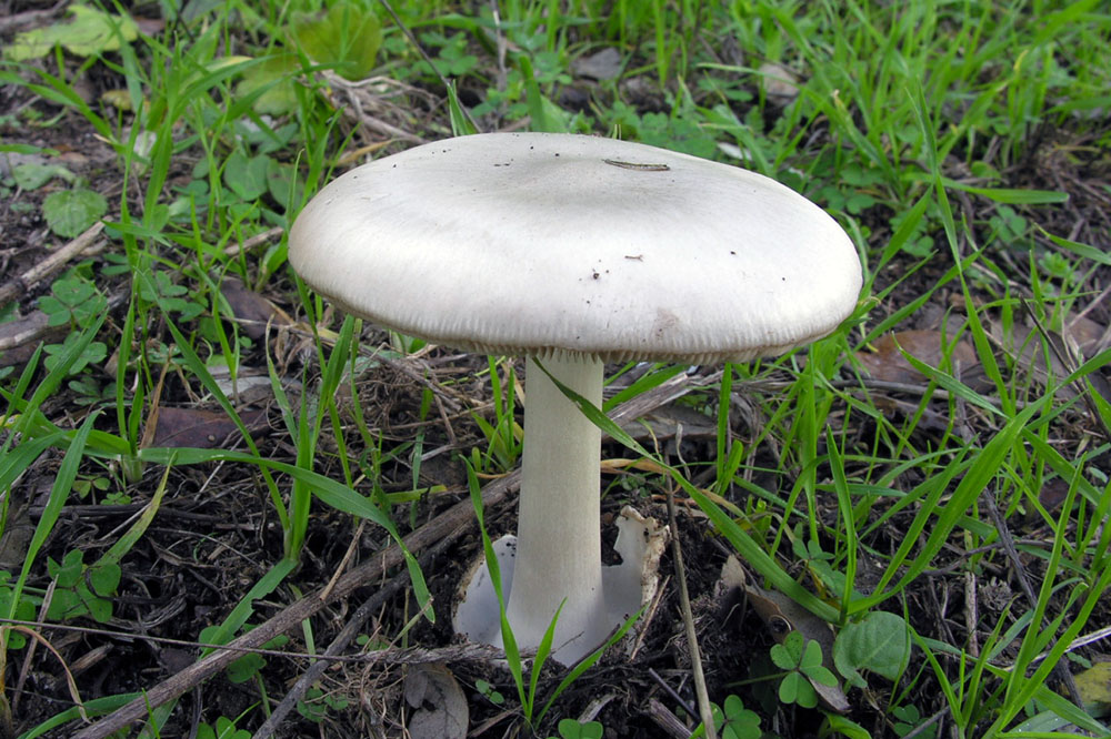 Nonostante il freddo!