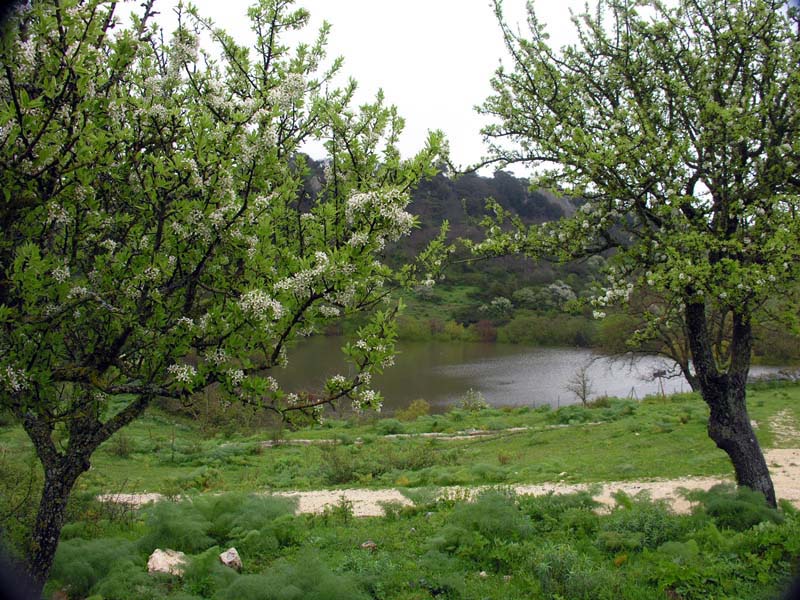 Escursione sotto il diluvio.