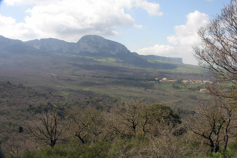 Il letargo � finito!