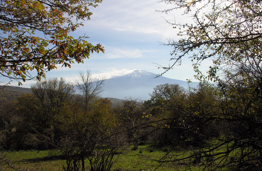 Parco dei Nebrodi