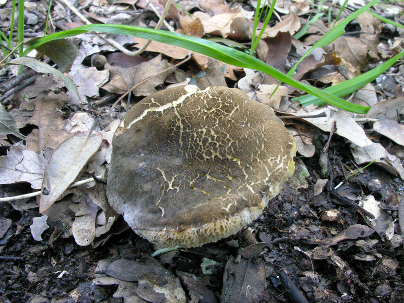 Nonostante il freddo!