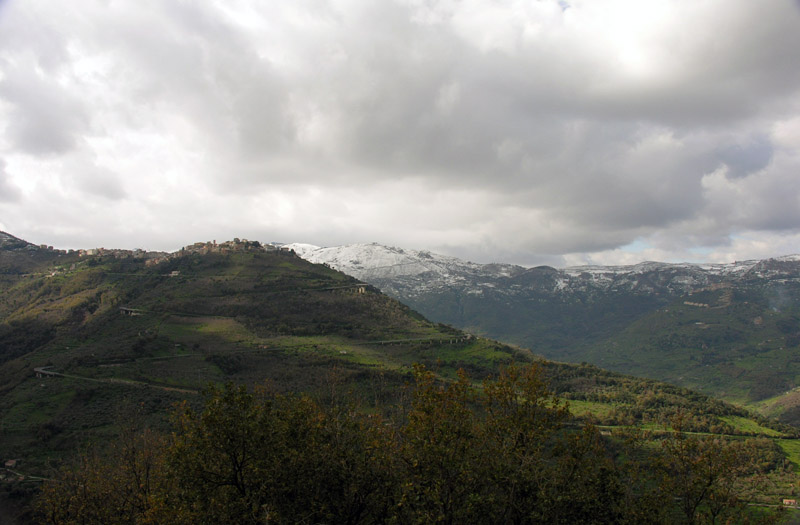 Il letargo � finito!