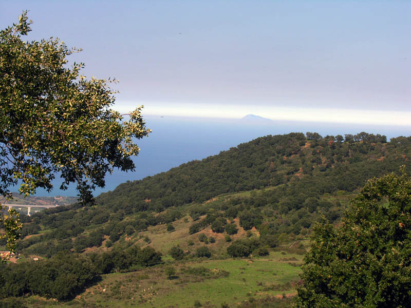 Raccolte del 15/10/2008