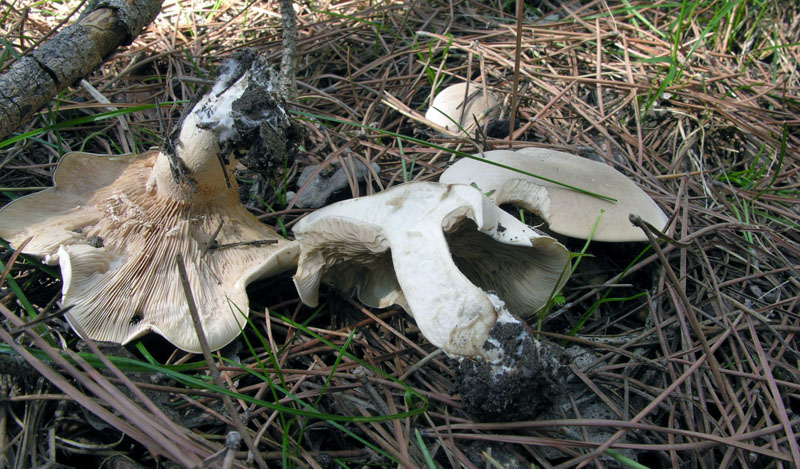 Nonostante il freddo!