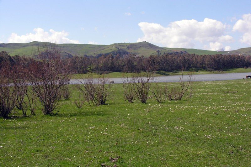 Il letargo � finito!