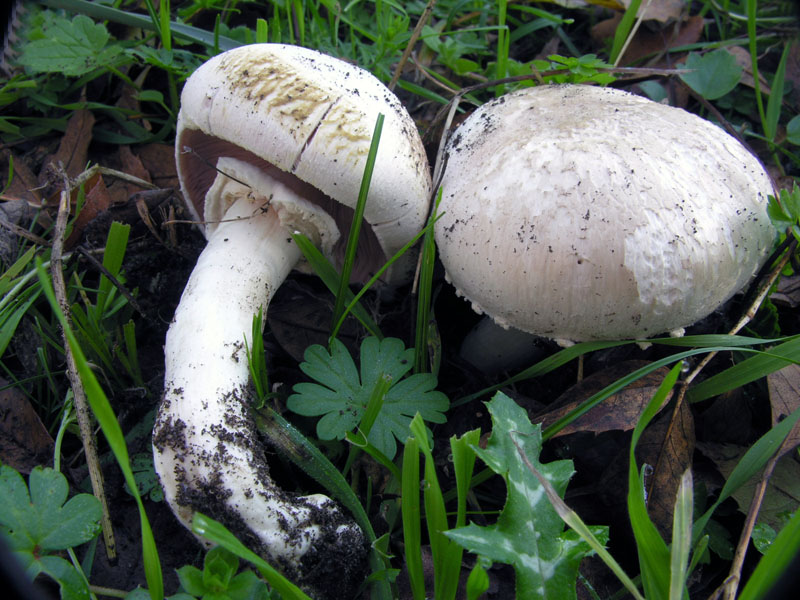 Nonostante il freddo!