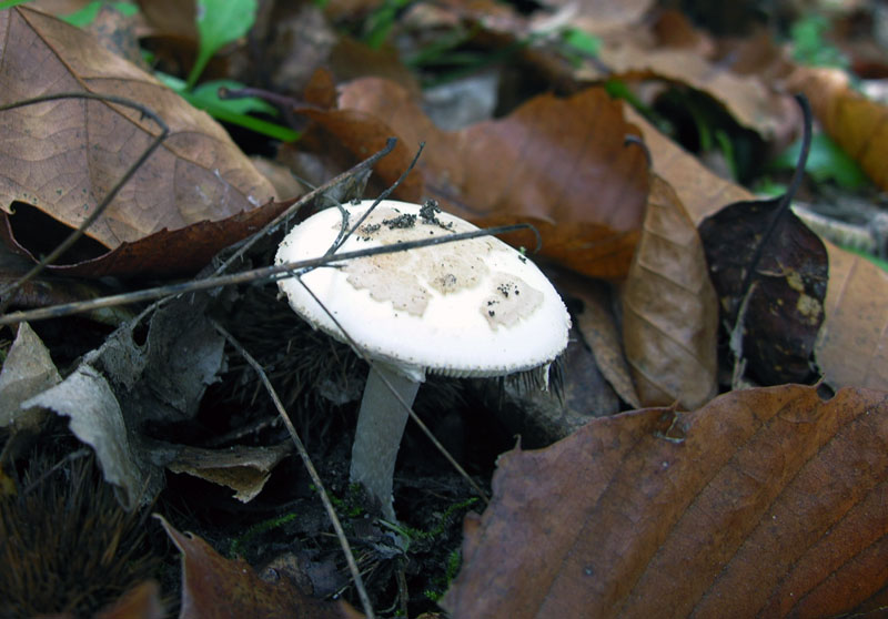 Nonostante il freddo!