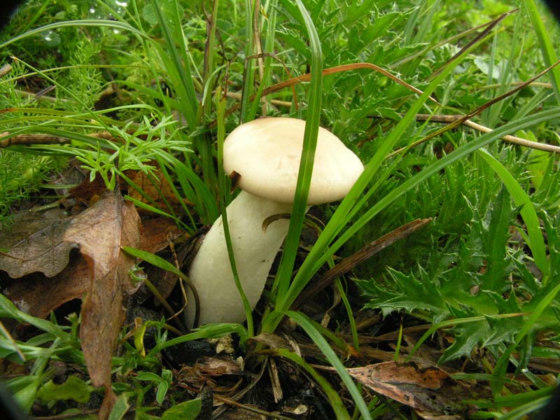 Escursione sotto il diluvio.