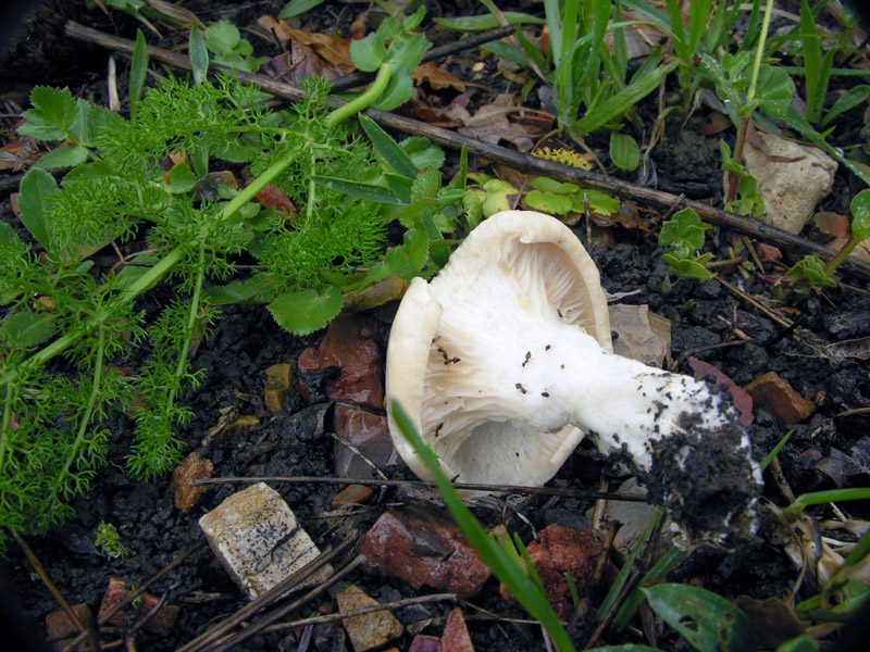 Il letargo � finito!