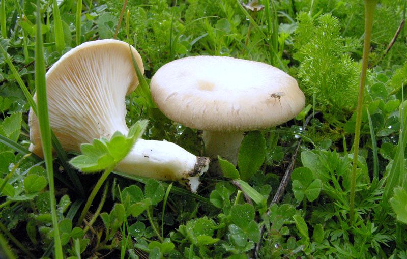 Escursione sotto il diluvio.