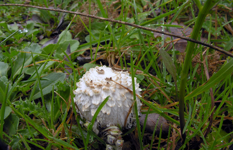 Il letargo � finito!