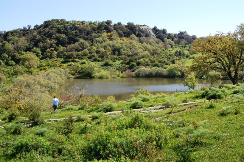 Passeggiata orchidologica al Bosco della Ficuzza