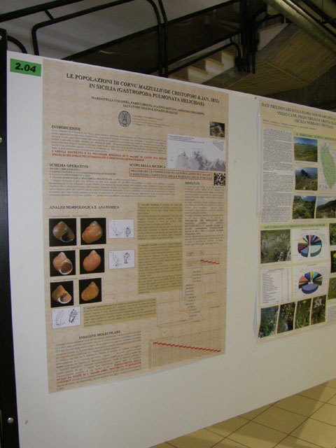 37 Congresso Societ Italiana di Biogeografia