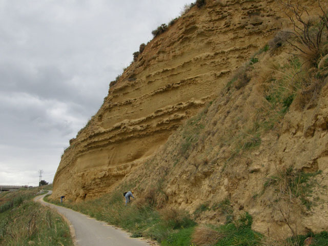 Escursione ad Altavilla Milicia (PA)
