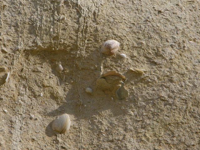 Escursione ad Altavilla Milicia (PA)