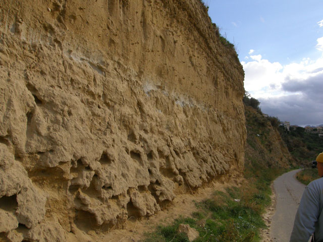 Escursione ad Altavilla Milicia (PA)