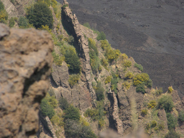 Dicchi in Valle del Bove (Etna)