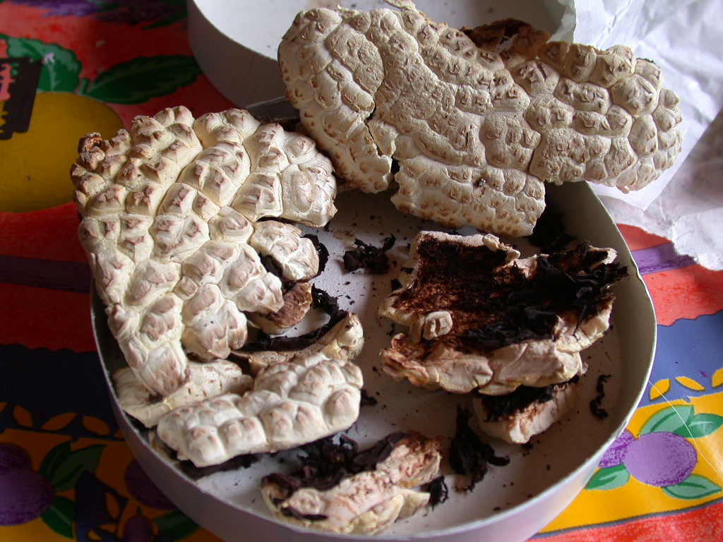 Kheops... Kephren...o ???  QUIZ