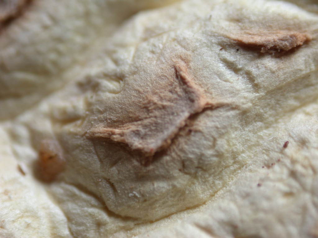 Kheops... Kephren...o ???  QUIZ