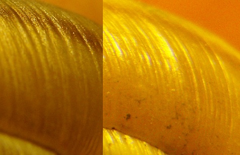 Chilostoma  padanum (Stabile, 1864)