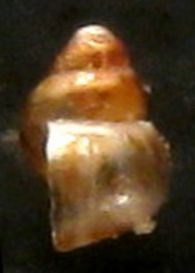 Senza nome- Tarifa a riva