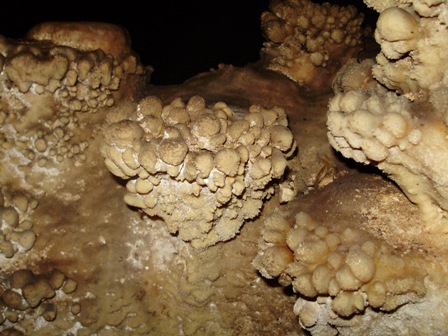 concrezione a dente di cane