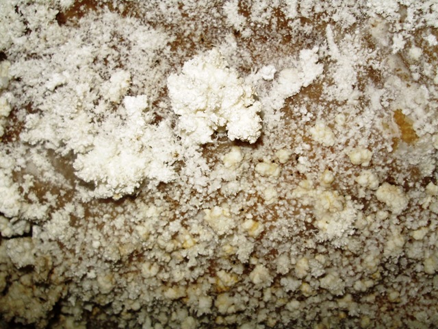 concrezione a dente di cane