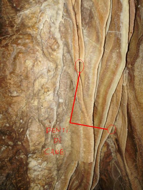 concrezione a dente di cane