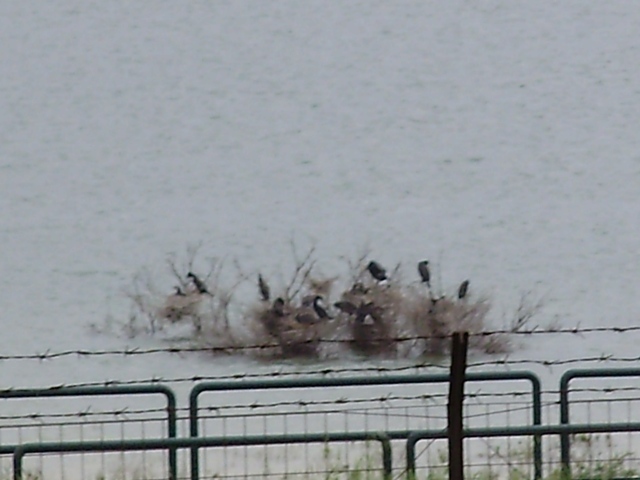 biviere (lago) di lentini