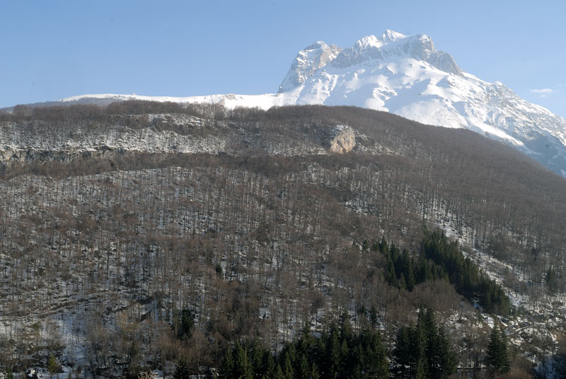 Un Fomes tra la neve (Fomes fomentarius)