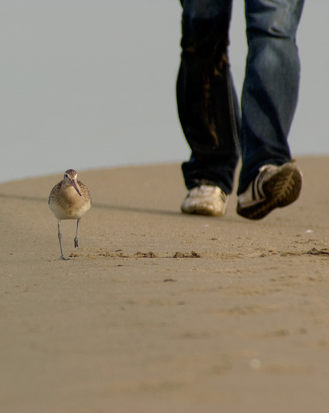 A passeggio...