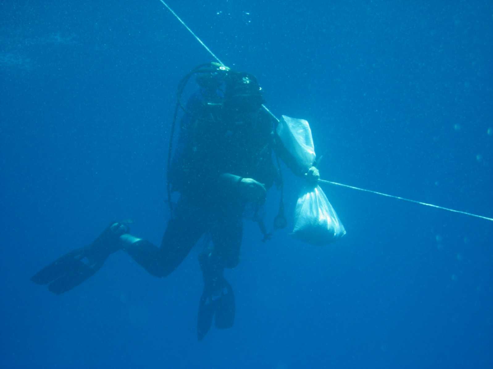 Ricerche sulla malacofauna marina di Zannone