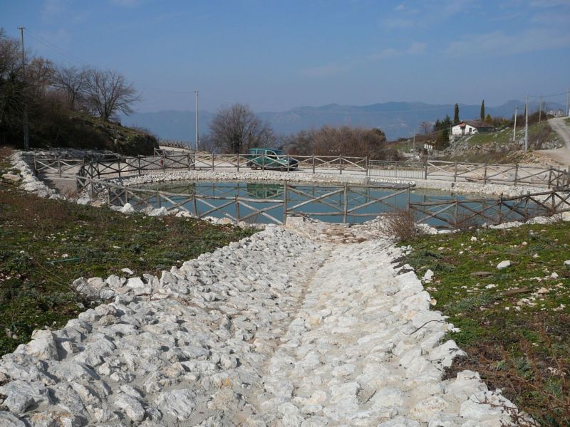 Colonizzazione.