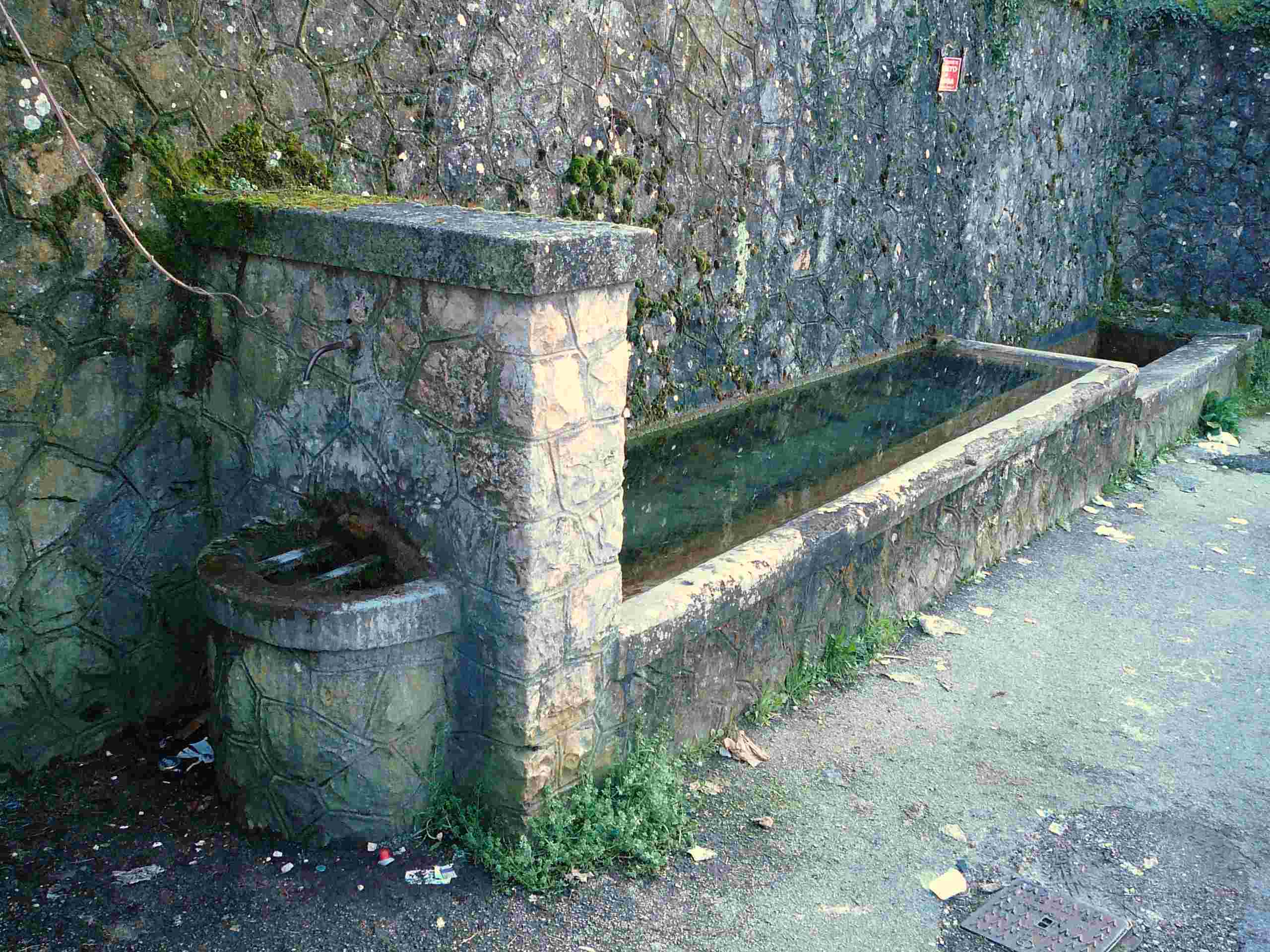 Fontanili del Lazio