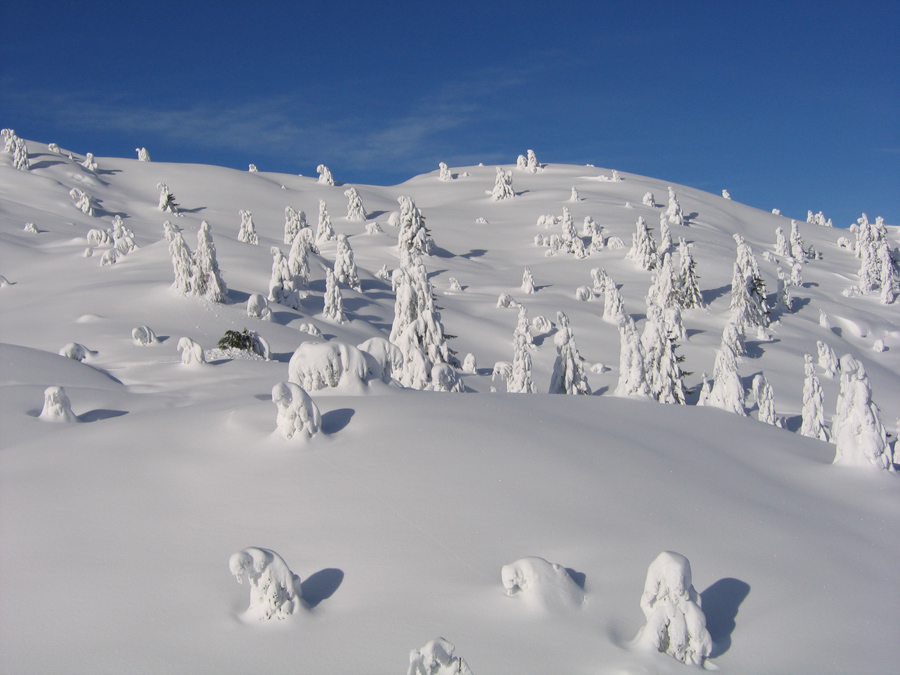 Dolomiti di Brenta - Gennaio 2008