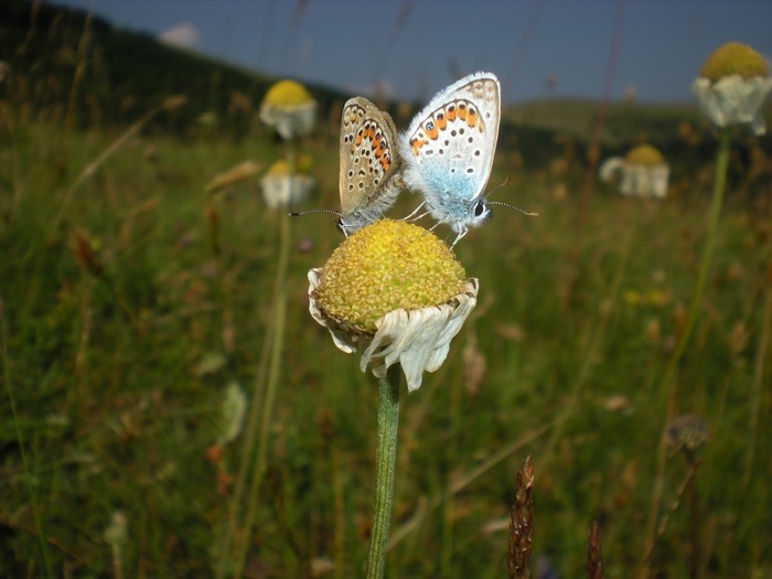 Una giornata(piovosa) sui Sibillini)