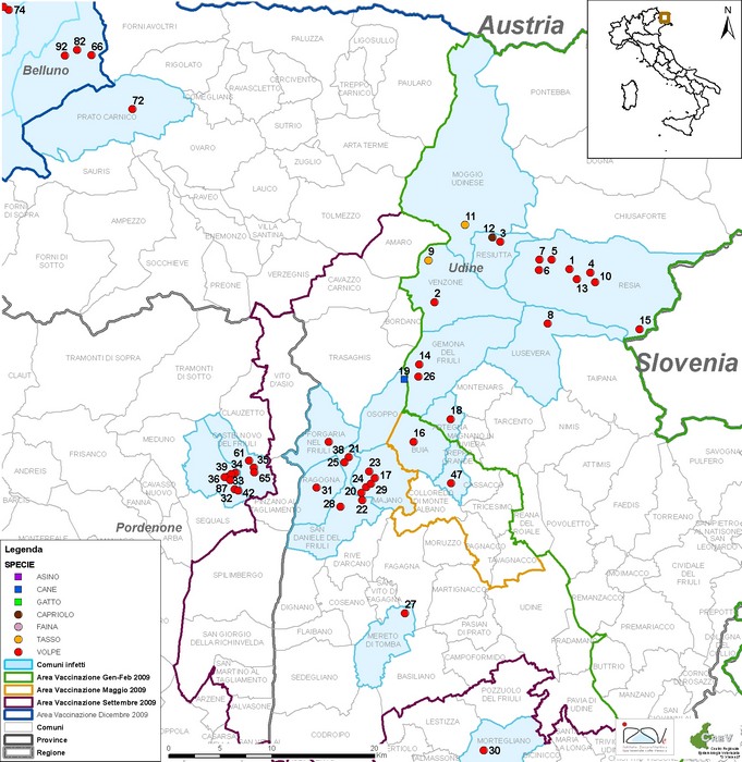 Aggiornamenti sulla diffusione della rabbia nel Nord-Est