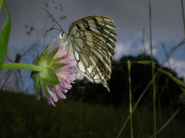 Una giornata(piovosa) sui Sibillini)