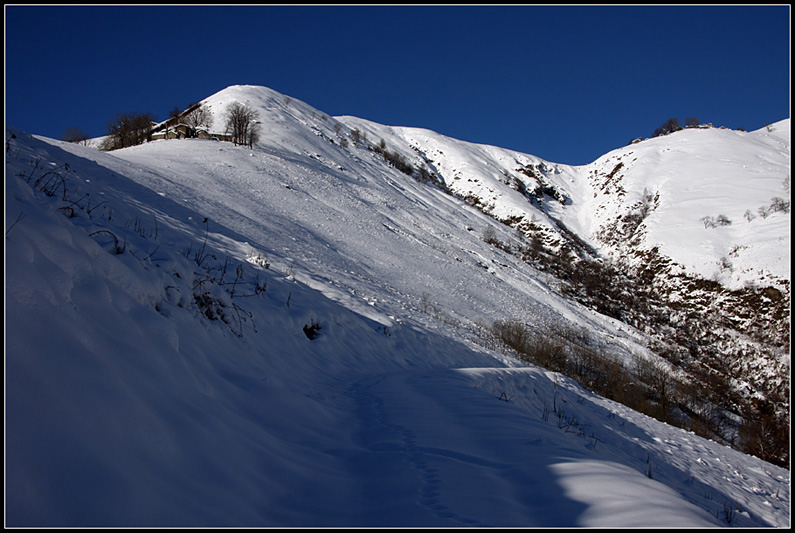 Ciaspolata a Piaghedo [Alto Lario Occidentale]