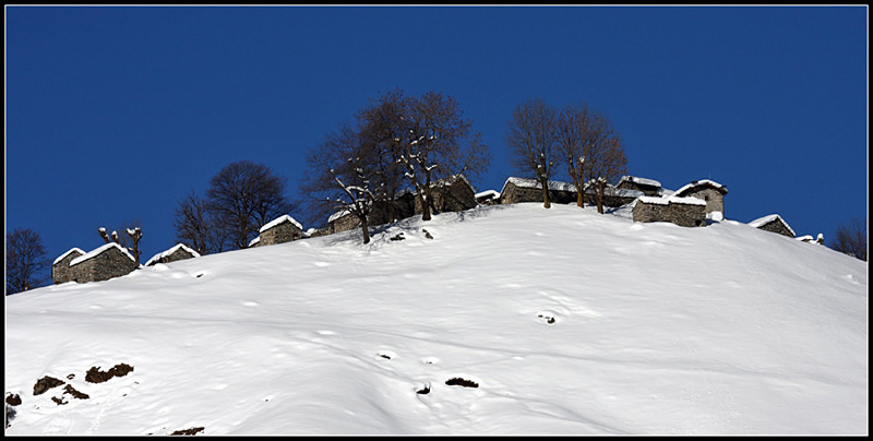 Ciaspolata a Piaghedo [Alto Lario Occidentale]