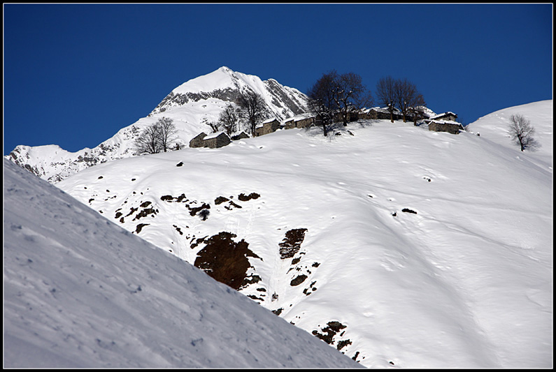 Ciaspolata a Piaghedo [Alto Lario Occidentale]