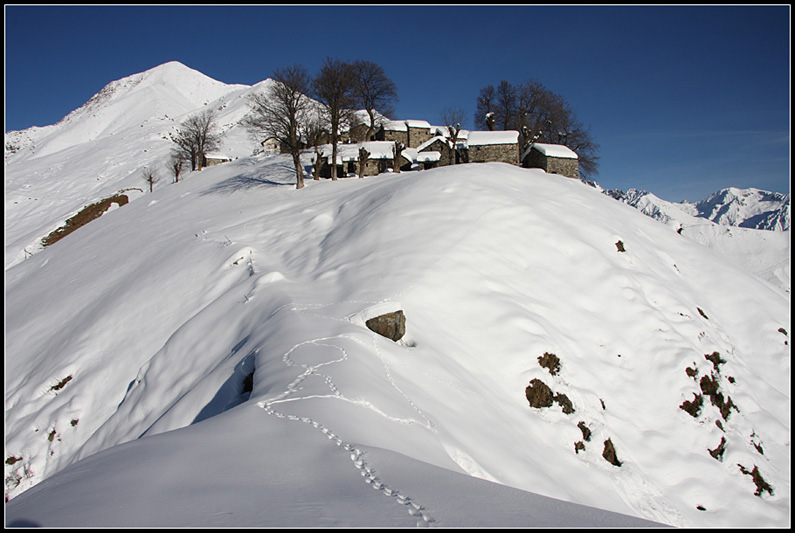 Ciaspolata a Piaghedo [Alto Lario Occidentale]