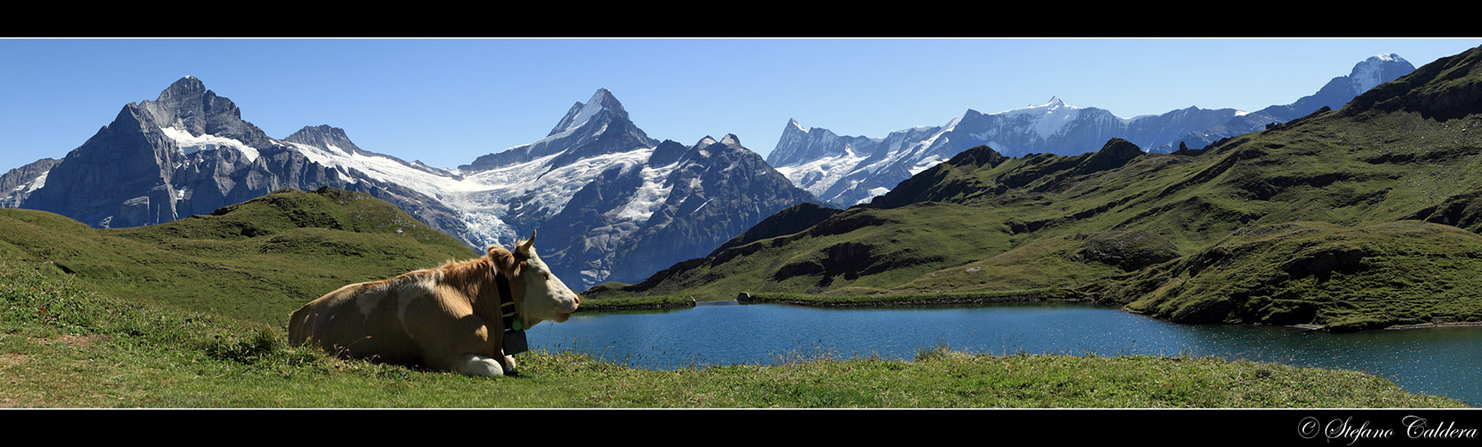 Finsteraarhorn