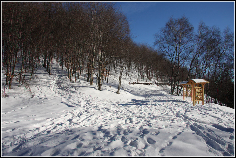 Monte Lema