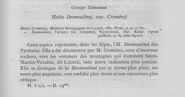 Chilostoma(Corneola)crombezi (LOCARD, 1882) - Mercantour