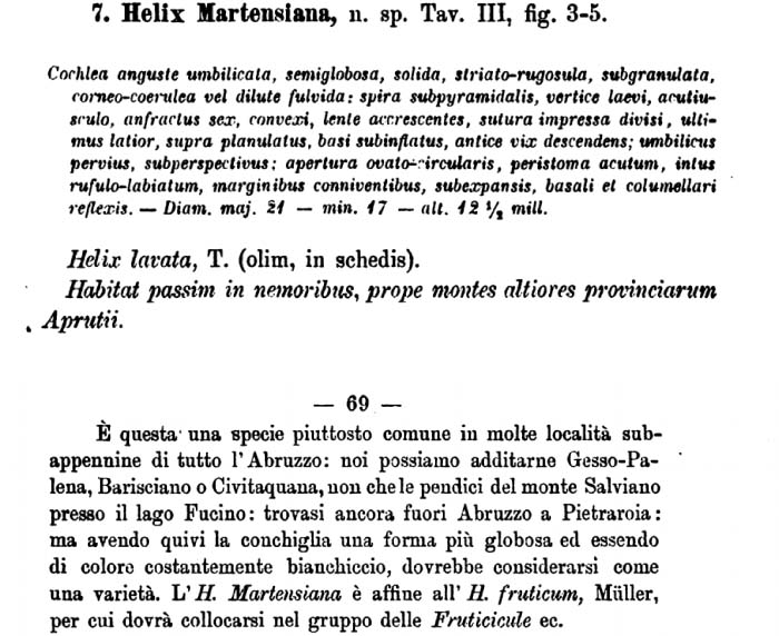 Monacha appenniniche del gruppo cantiana