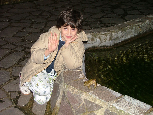 Avvistati Anfibi? Dove? Quando?