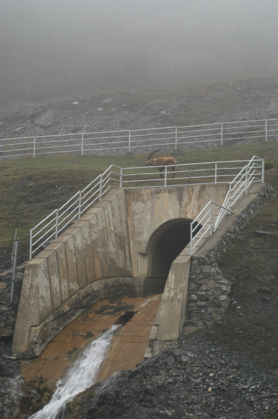 Passo dello Stelvio