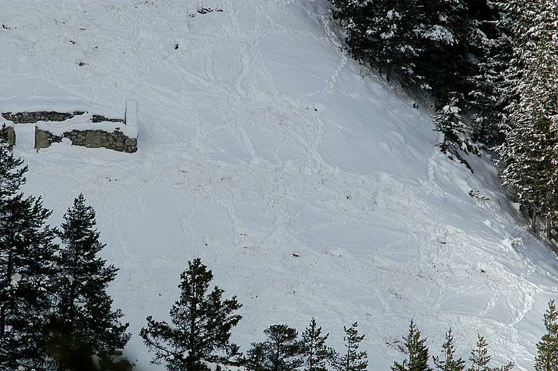 PASSIONE PER IL CERVO