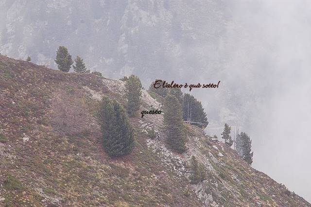Chi cerca trova